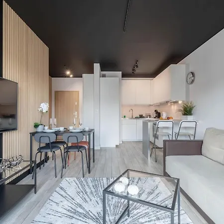 Modern Black Spot Apartment Poznan