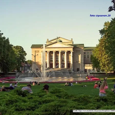 Daire Modern Black Spot *